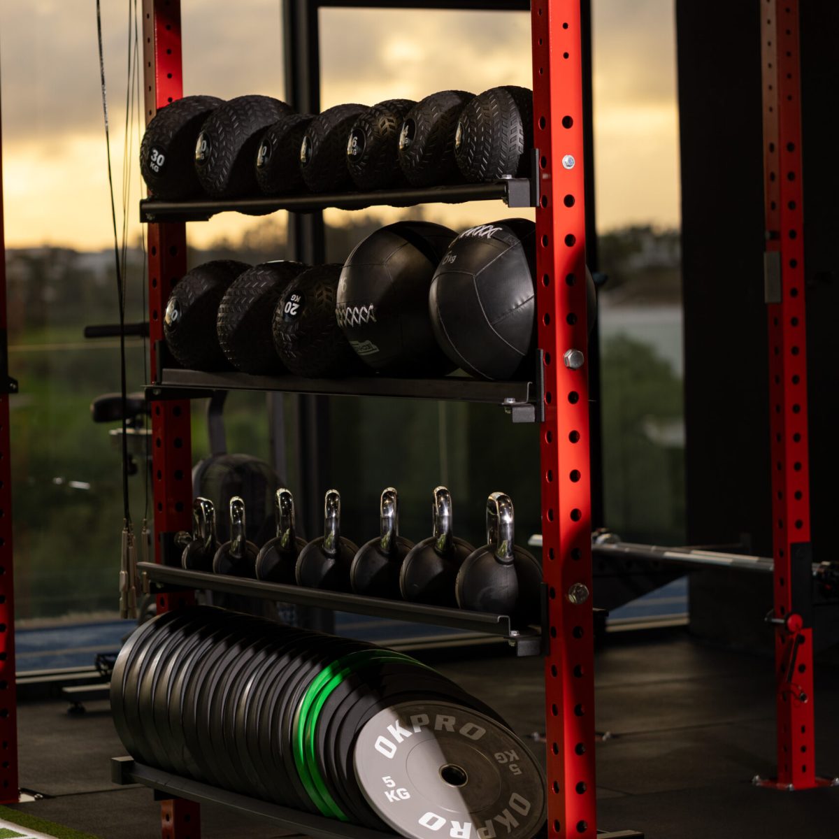 Premium cross-training studio at Eliteness featuring functional fitness zones, strength equipment, and an elevated training layout.