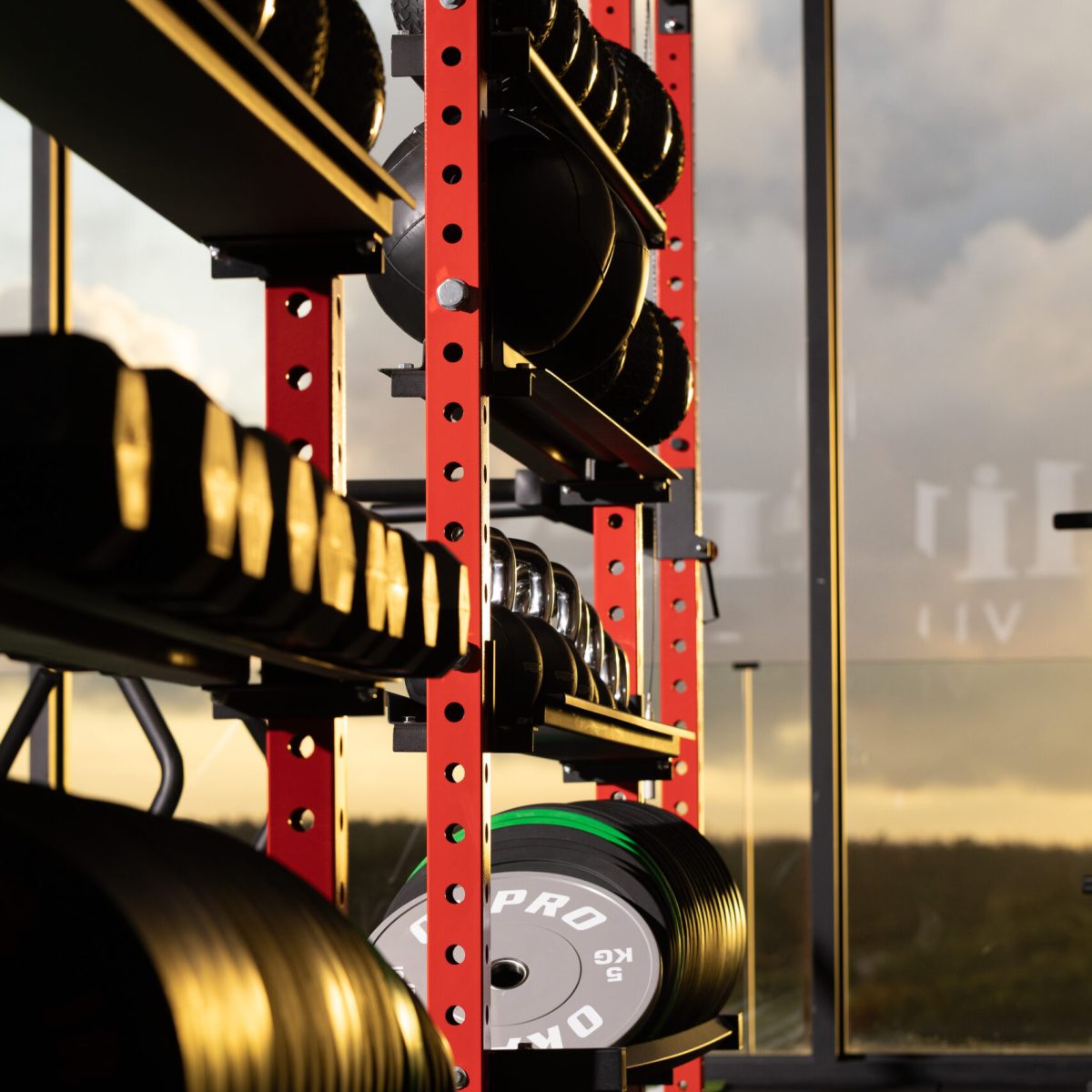 Premium cross-training studio at Eliteness featuring functional fitness zones, strength equipment, and an elevated training layout.